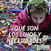 ¿Qué son los lujos y necesidades?