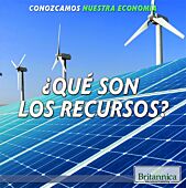¿Qué son los recursos?
