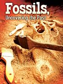 Fossils, Uncovering the Past