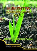 Alimentos producidos por el Sol