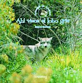 Ahí viene el lobo gris