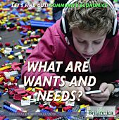 What Are Wants and Needs?
