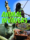 Animal Invaders
