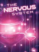 The Nervous System