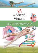 El abecé visual del cuerpo humano