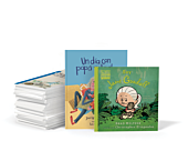 Spanish Leveled Libraries