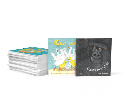 Elementary Start-Up Libraries