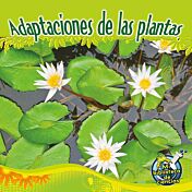 Adaptaciones de las plantas