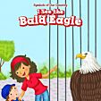I See the Bald Eagle