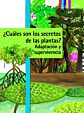 ¿Cuáles son los secretos de las plantas? Adaptación y supervivencia