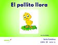 El pollito llora