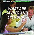 What Are Saving and Spending?
