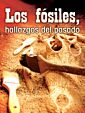 Los fósiles, hallazgos del pasado