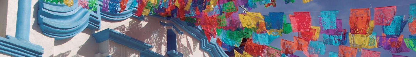 Product Banner Image