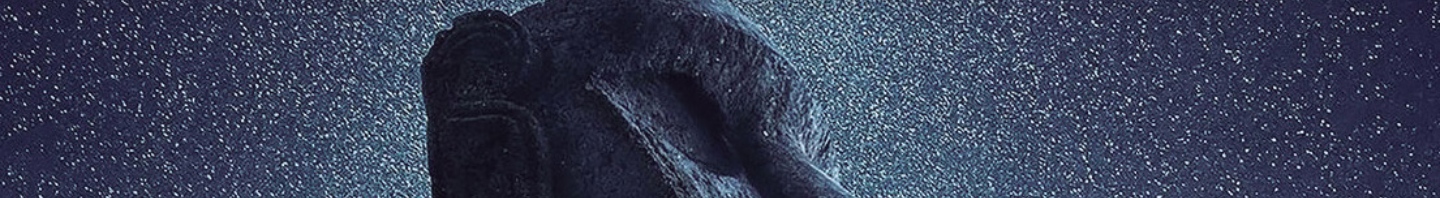 Product Banner Image